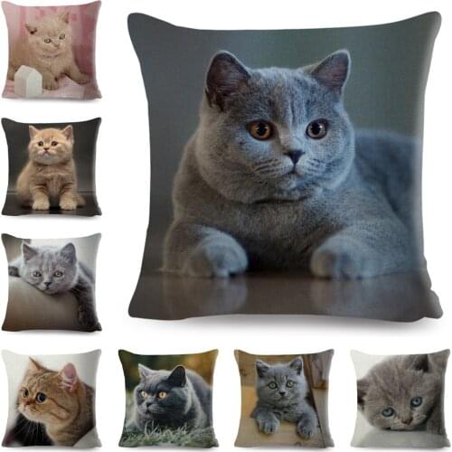 British Shorthair Russian Blue Cushion Cover Decor Cute Cat Pet Animal Pillowcase Polyester Pillow Case for Sofa Home Car 45x45
