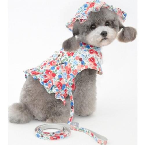 Outdoor Dog Harness Vest Pet Hat Cat Dog Caps Headwear Yorkshire Pomeranian Poodle Bichon Schnauzer Dog Leash Lead Set Dropship