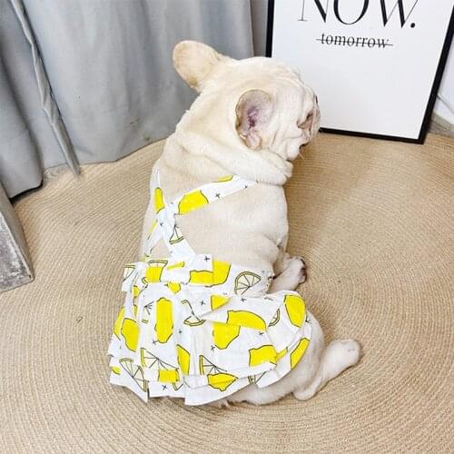 French Bulldog Bowknow Dress Pet Dog Summer Clothes Small Medium Dogs Puppy Chihuahua Schnauzer Yorkie Pug Corgi Clothing FHC05