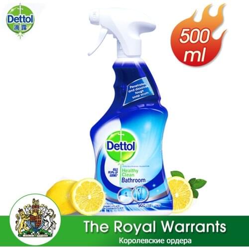 Dettol Cleaning Products