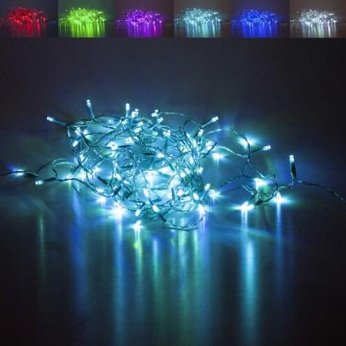 Euro Flora LED Holiday Light Bulbs