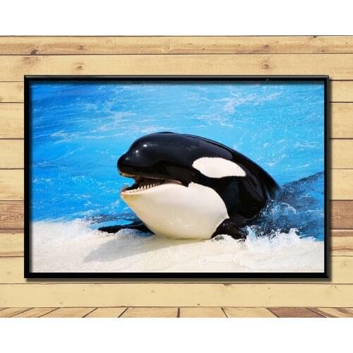 Orca Ferocious Marine Animal (7) Wall Posters Prints Silk Art Painting For Home Wall Bedroom Decor