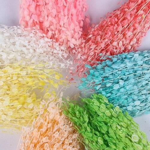 60-80g,Natural Dried Green Fan Flowers Bouquet,Eternal Real Plant Arrange Dry Flowers For Wedding Party Home Table Decoration