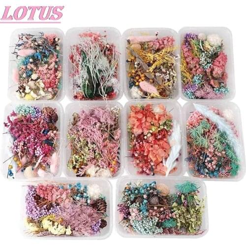 Caja de Plantas secas para aromaterapia, colgante de resina epoxi, collar, joyería, artesanía, accesorios, 1 caja