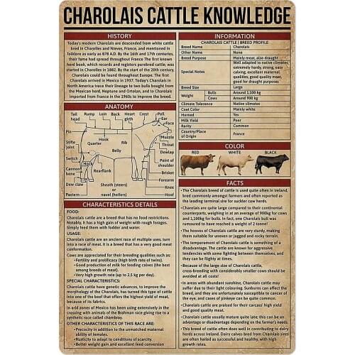 Cattle Knowledge Metal Tin Signs Cattle Anatomy Poster Animal Farm School Education Club Wall Decoration Plaque
