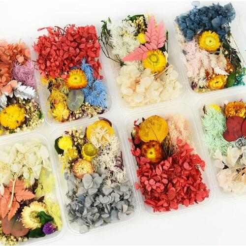 1 Box Real Mix Dried Flower Dry Plants for Aromatherapy Candle Epoxy Resin Pendant Necklace Jewelry Making Craft Home DIY Decor