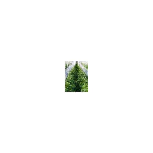 Радость Products For The Garden And Vegetable Garden