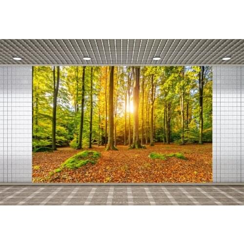 Lyavshi Vinyl Photography Backgrounds Sunshine Green Trees Yellow Leaves Autumn Scenery Backdrops Newborn Photophone Photozone