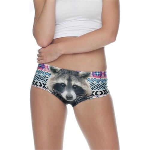 Raccoon Panda 3D Print Briefs Lingerie Sexy Underwear Women Panties Panty Tanga Ropa Interior Mujer Bragas Culotte Femme