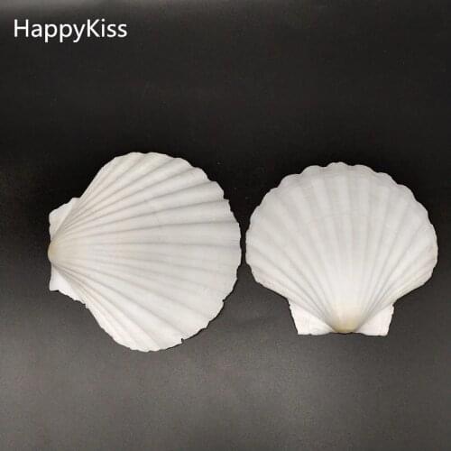 2pcs white Beach Seashell Mediterranean style DIY Fashion Sea Shells Natural Crafts for Aquarium Fish Tank Decor sea conch