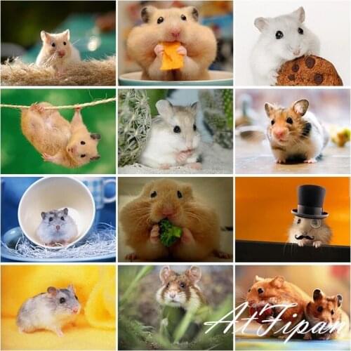 DIY 5D Diamond Painting Full Round Square Resin Mosaic Diamonte Embroidery Cross Stitch Kits Wall Art Little Lovely Hamster