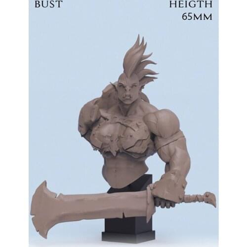 1/12 Resin Bust Building Kit warrior