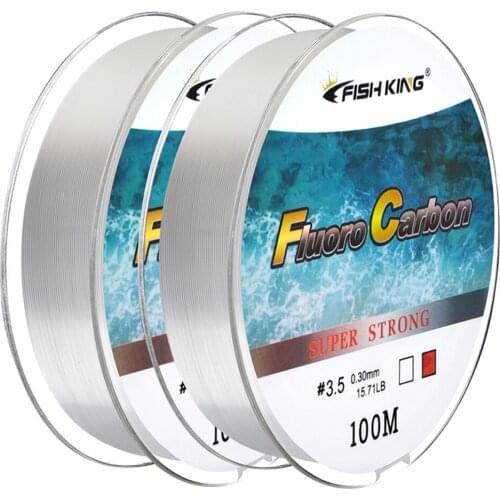 100m Nylon Fishing Line Bass Carp Fishing Line Wear-resistant Thread Super Strong Fishing Line Clear pesca