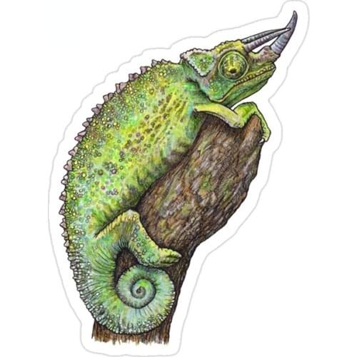 13cm x 9.7cm for Chameleon Car Stickers Anime Personality Scratch-proof Family Wall Decoration Vinyl Window Decal