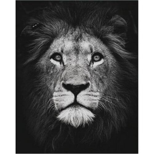 DIY Digital Painting By Numbers Package Black lion head Coloring Wall Art Picture Gift frameless