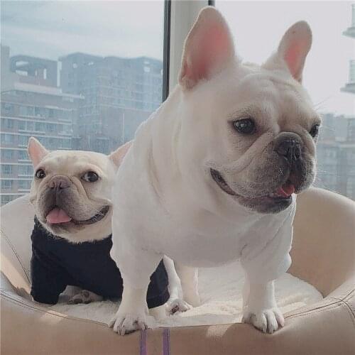 New Style French Bulldog Clothes for Small Dogs Yorkshire Hoodie Chihuahua Jacket Winter Dog Coat Pets Clothes Dropshipping A104