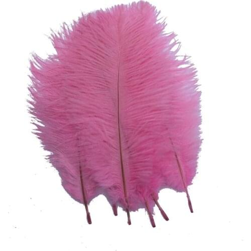 Wholesale Hard rod 10 Pcs/Lot Natural Pink Ostrich Feathers For Crafts 15-75CM Carnival Party Wedding Decorations Jewelry plumes