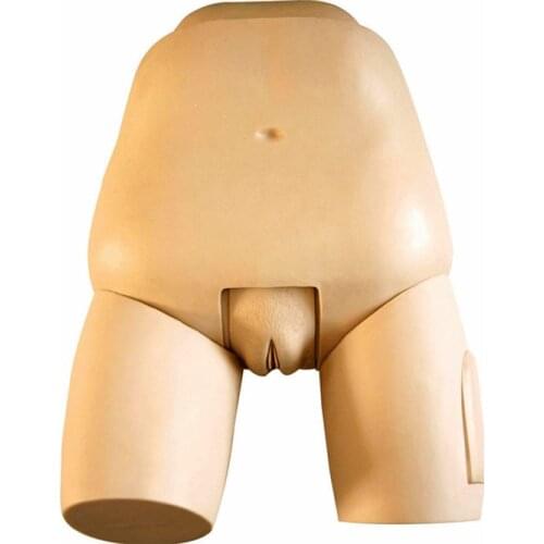 Postpartum Fundus of Uterus Examination and Evaluation Nursing Simulator