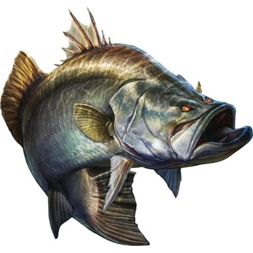 Fashion Car Sticker Savage Barramundi Personality Animal Fish PVC Car Styling Motorcycle Decal Sunscreen Waterproof 14cmx13.2cm