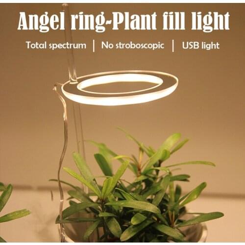 PDQ Phytolamps For Plants