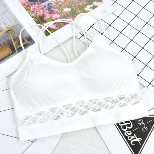 CC.AMILY Goods For Sports And Recreation