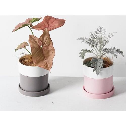 Balcony decorations pot Flower pots decorative cactus seeds pflanzentopf Plant kwietnik stojacy planter pot donice ogrodowe New