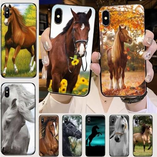Horse animal grassland Phone Case for iPhone 11 12 mini pro XS MAX 8 7 6 6S Plus X 5S SE 2020 XR