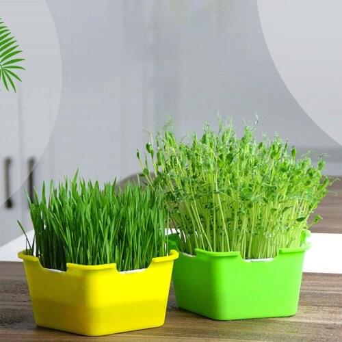 Reusable Breeding Box Sprouts Seedling Tray Plant Seeds Flowers Rooting Ball Hydroponic Set Planting Box Garden Tools