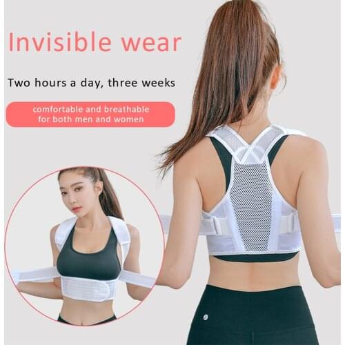 Tolaccea Spine Corsets