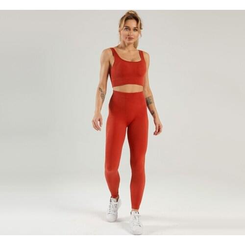 Womens Summer Fitness Essential Home Exercise Seamless Tight-Fitting Breathable Yoga Suit YJ063+YJ067