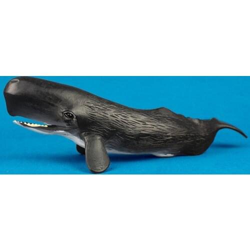 Sea Lifes Animals Cachalot Models Figures Figurines Toys Simulation Ornament Christmas Early Childhood Gift for Kids Sperm Whale