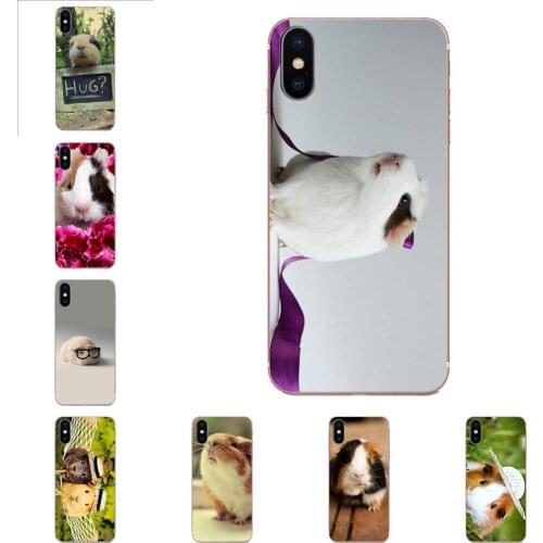 For Huawei Honor 10 10i 20 20i 8S lite Y9 Prime Y7 2019 Y5 2018 p40 lite pro Ultra Thin White Guinea Pig Animal Print