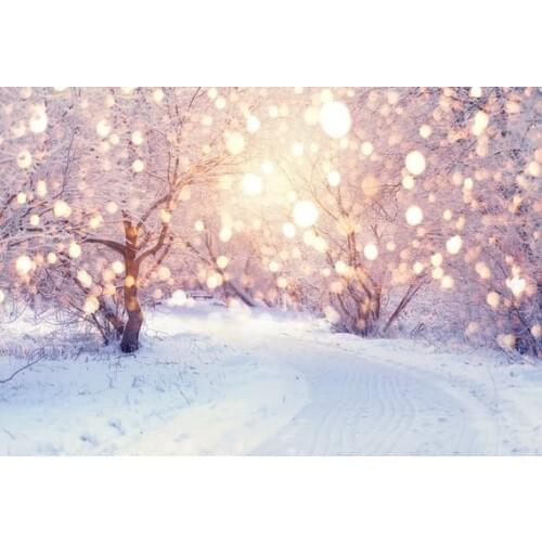 Snowy Winter Landscrape tree road Christmas Bokeh Lights backdrop High quality Computer print party background