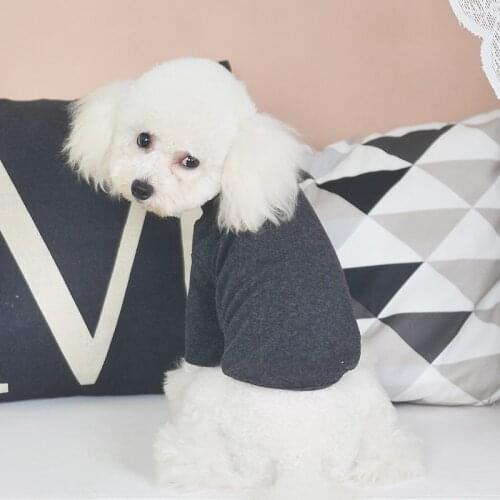 Broken Code Sales Dog Clothes Cotton Bottoming Shirt Puppy clothing for Autumn and Winter Multi colors for Small Dog Costumes