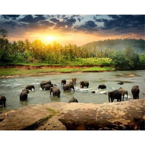 Paint by Numbers Kits for Adults DIY 40CM*50CM ALI_V1_2171