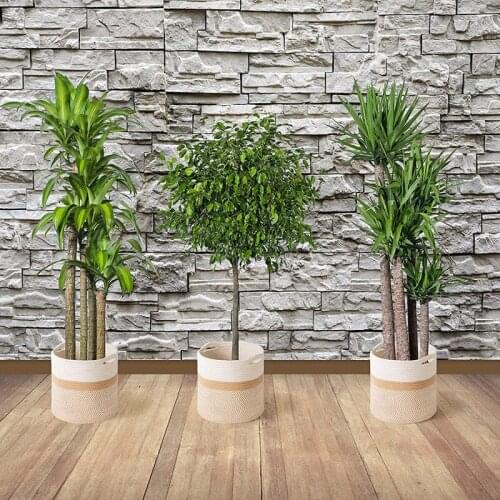 Hand Woven Flower Pot Basket Laundry Closet Storage Bins Picnic Toys Storage Container Planter Holder Baby Nursery Organizer Hom