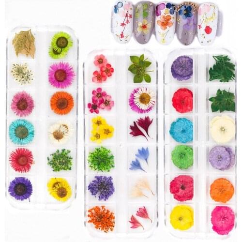 Mix Dried Flowers Nail Decorations Jewelry Natural Floral Leaf Stickers 3D Nail Art Designs Polish Manicure Accessories