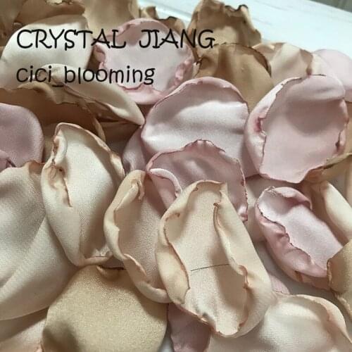 Candy Color Light Champagne Petals For Weddings Flower Girl Rose Petal 100 pieces /Lot Silk Chiffon