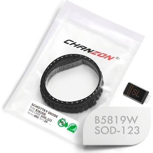 100 Pcs) B5819W SMD Schottky Barrier Rectifier Diodes 1A 40V SOD-123 1 Amp 40 Volt (Marking SL)