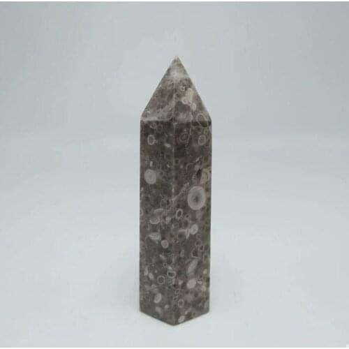 1pc 60-65mm Natural crystal insect fossil reiki healing point