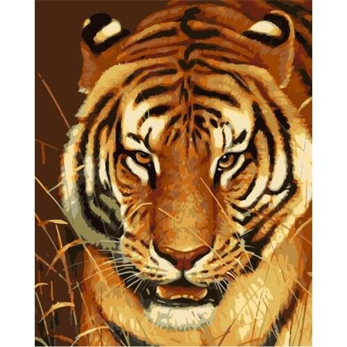 Tetasal DIY Painting by Numbers For Adults Kits Gift Digita Oil Paint Dropshipping On Canvas tiger Kids Home Decoration
