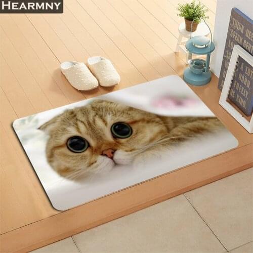 Scottish Fold Cat Doormat Outdoor Floor Mat Home Creative Mat Super Soft Absorbent Bathroom Door Entrance Mat 40X60cm,50x80cm