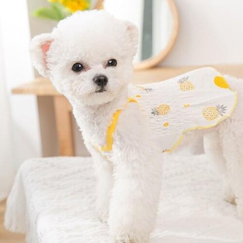 Dog Clothes Dog Skirts Puppy Dog Spring and Summer New Mesh Sling Skirt Cat Breathable Thin Dress Two Feet Dog Skirts