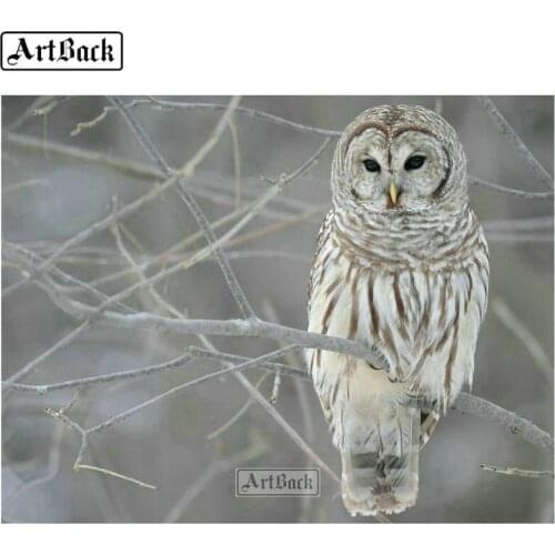 Full square & round 5d diy diamond painting owl diamond mosaic bird animal 3d diamond embroidery decoration