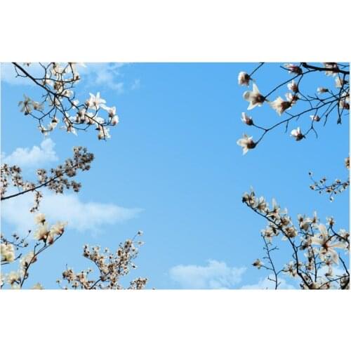 Living Room Bedroom Ceiling Mural Decor beautiful blue sky white clouds flower branches living room bedroom ceiling murals