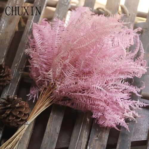 10pcs/lot Eternal Flower Dried Grass Fern Leaves Natural Air-dried Plants Home Bedroom Decorations DIY Layout Immortal Grass