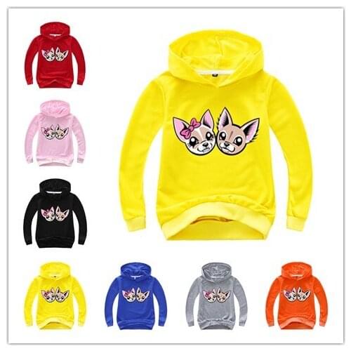 2-15Y Cartoon jacket Hoodie Kids Sweatshirt Baby Girl Hoodies Toddler Sweater Animals Basic Coat Pullover Hoody Outwear