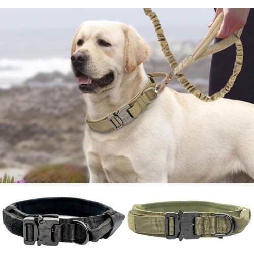 Pet Collar with buckle design and flexible Adjustable Nylon Pet Sports Traction Collar for Medium Dog