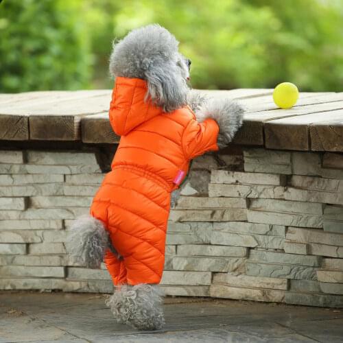 Dog Clothes Winter Dog Hoodies Jacket For Small Dog Padded Warm Cotton Outfit Coat for French Bulldog Chihuahua Pet Clothes