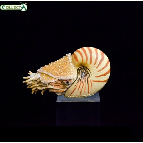 CollectA Nautiloidea 88907